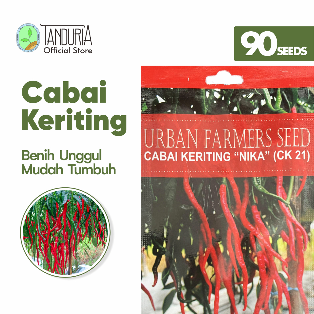 TANDURIA - Benih Buah Cabai Keriting by Urban Farmers Seed Bibit Biji Sayur Bunga  Sayuran