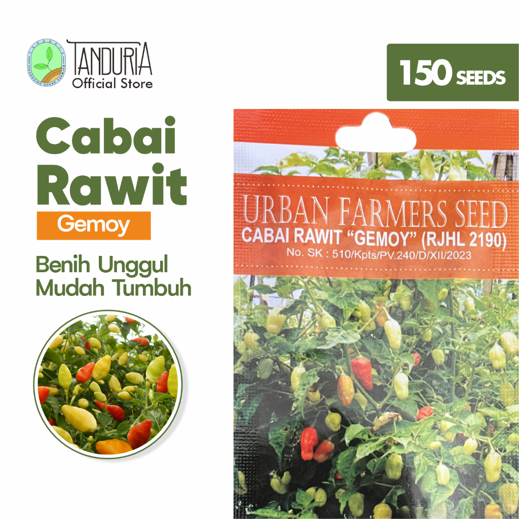 TANDURIA - Benih Buah Cabai Rawit Gemoy by Urban Farmers Seed Bibit Biji Sayur Bunga  Sayuran