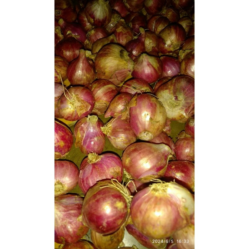 

brambang