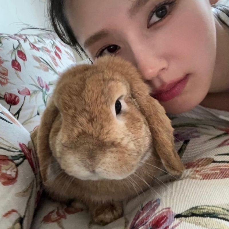 

Tambahan packing PC official