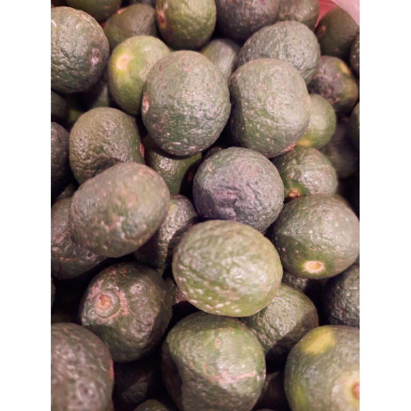 

Jeruk Limau / Limo 250 gram