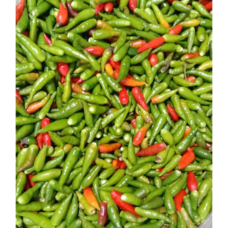 

Rawit jengki petik 100gr