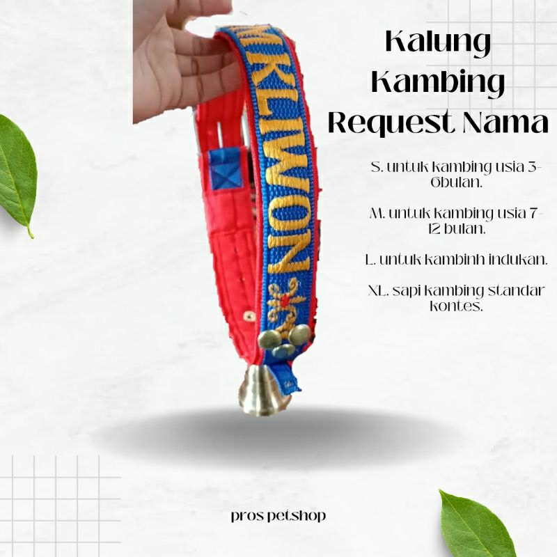 Kalung Kambing Request Nama, Kalung Kambing Etawa, Kalung Kambing Kontes Bahan Tebal Kualitas Berkel