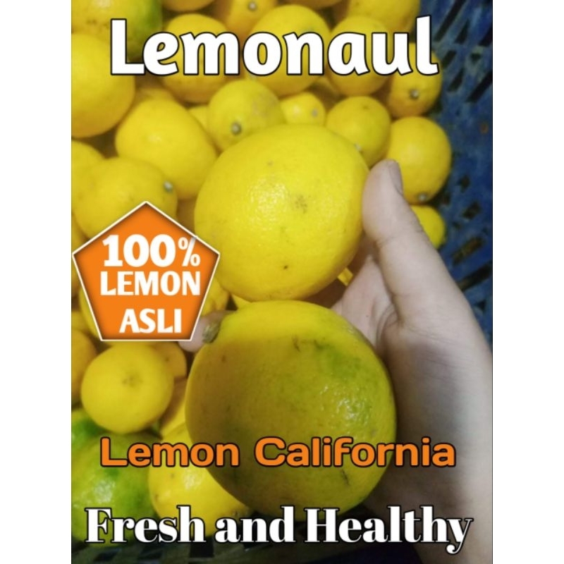 

buah lemon Segar California Grade AB