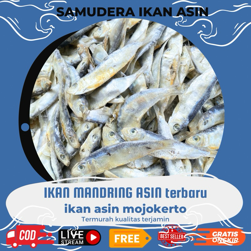 

ikan asin mandring empuk kecil limited mirip tembang kecil gurig | samudera ikan asin