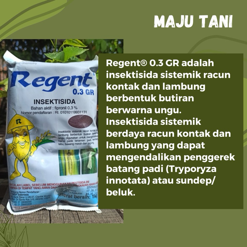 REGENT BUBUK 1KG/Obat Hama/Insektisida/Obat Tani