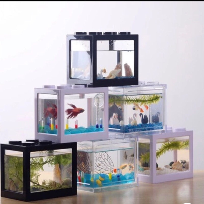Aquarium Ikan Cupang Mini Akrilik Kolam Ikan Lucu Mini
