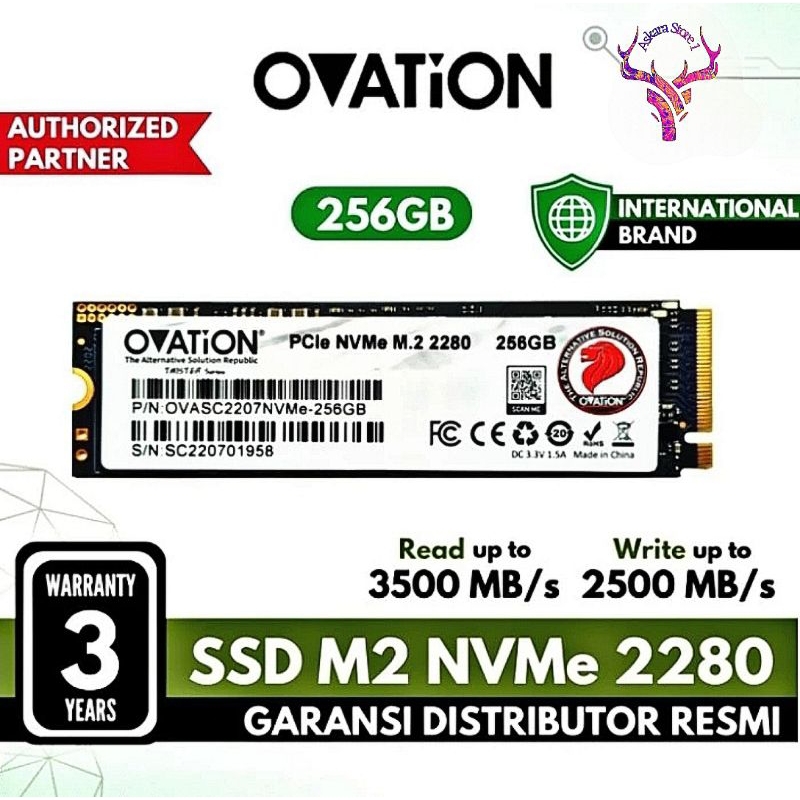 Ovation SSD NVME 256GB