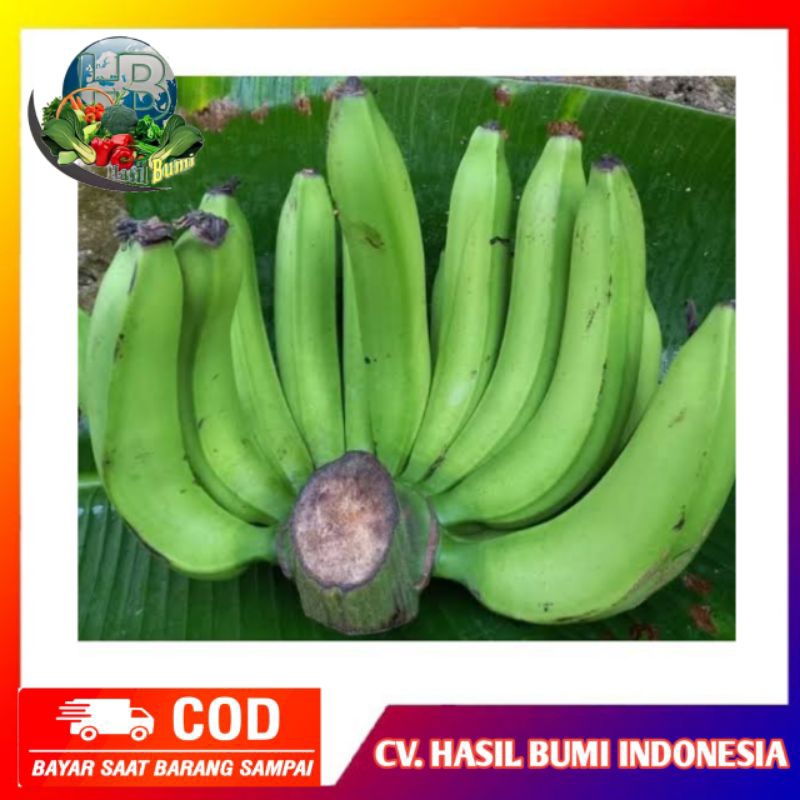 

Pisang nangka mentah persisir 1kg