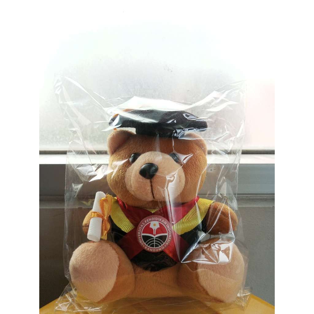Boneka Wisuda Sedang UPI