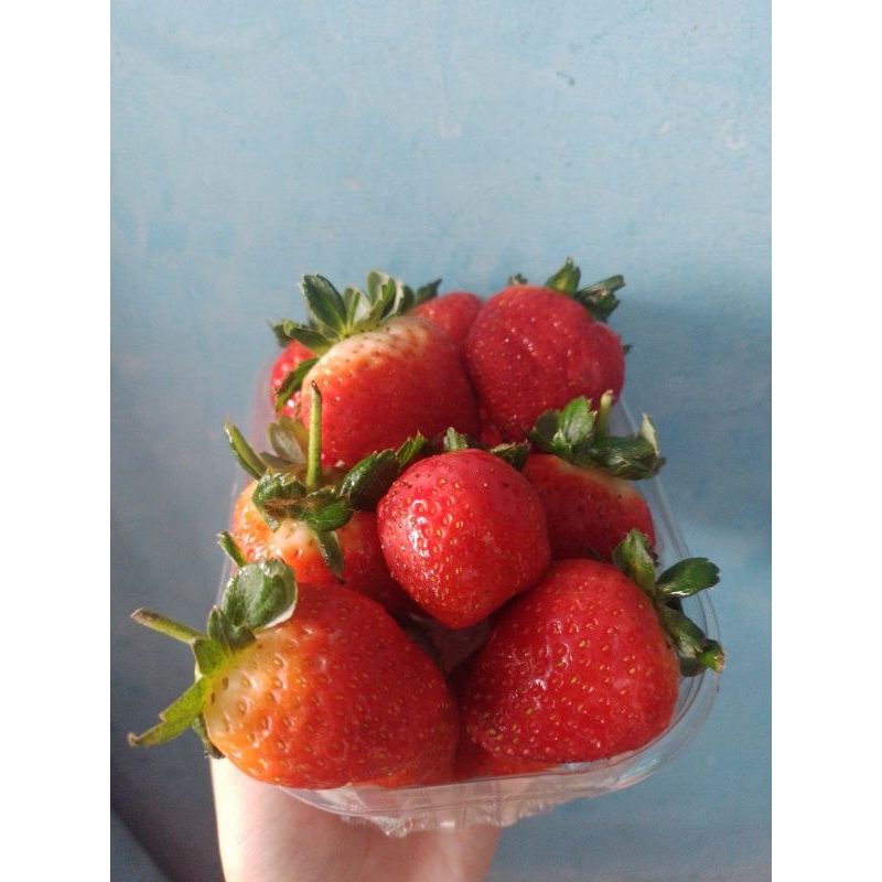 

Strawberry 250 gram