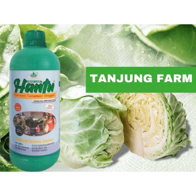 Pupuk Organik Hantu ZPT Jimmy Hantu 250 ML