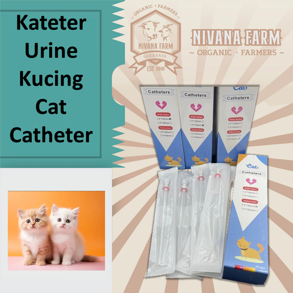 Kateter Kucing Cat Catheter Kateter Urine Kucing