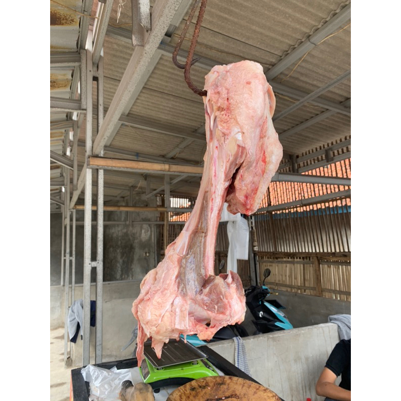 

Tulang Sumsum Sapi 4kg