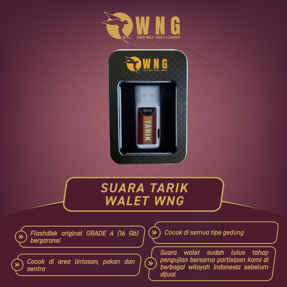 KODE S62N Suara Tarik Walet WNG Mp3  Suara Walet Tarik Premium  Suara Burung Walet Tarik