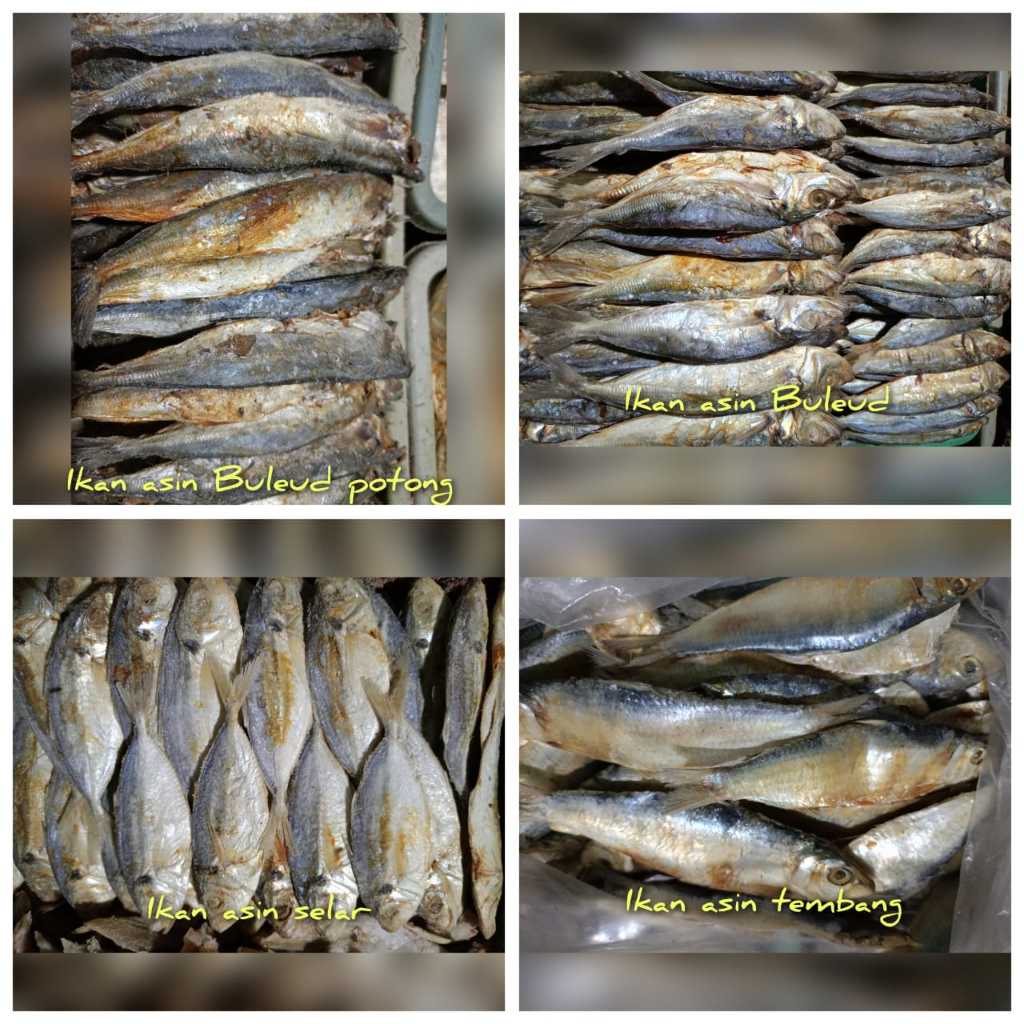 

Ikan Asin Asli Super murah dan Segar Kulaitas Terbaik (500gr)