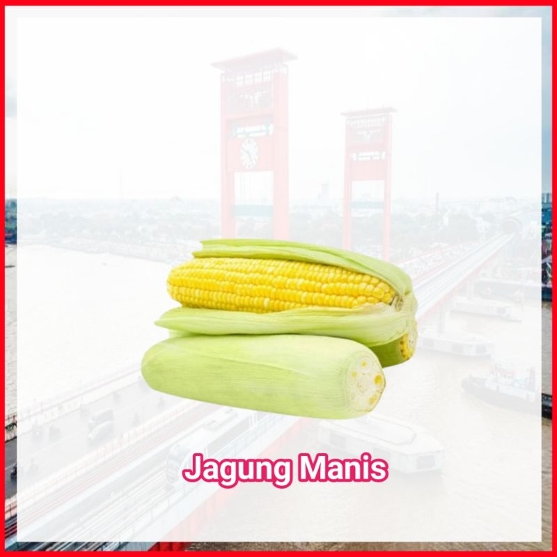 

Jagung Manis - Sayur Sayuran Mayur Segar Palembang