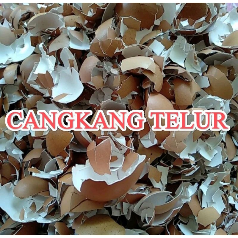 

Cangkang telur/ kulit telur