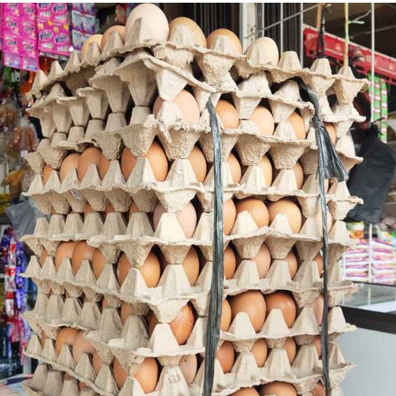 

TELUR AYAM NEGRI / TELOR HARGA PER KILO PREMIUM