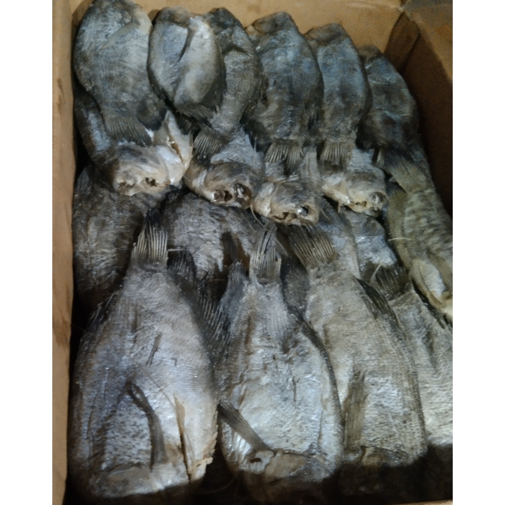 

500 Gram Ikan Asin Sepat/ Ikan Asin Murah/ Ikan Asin Enak/ Ikan Asin Palembang/ Ikan Asin Air Tawar