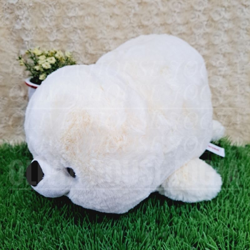 Boneka Lying Singa Laut Krem Boneka Gembul Singa Laut Boneka Tiduran Sea Lion Cream