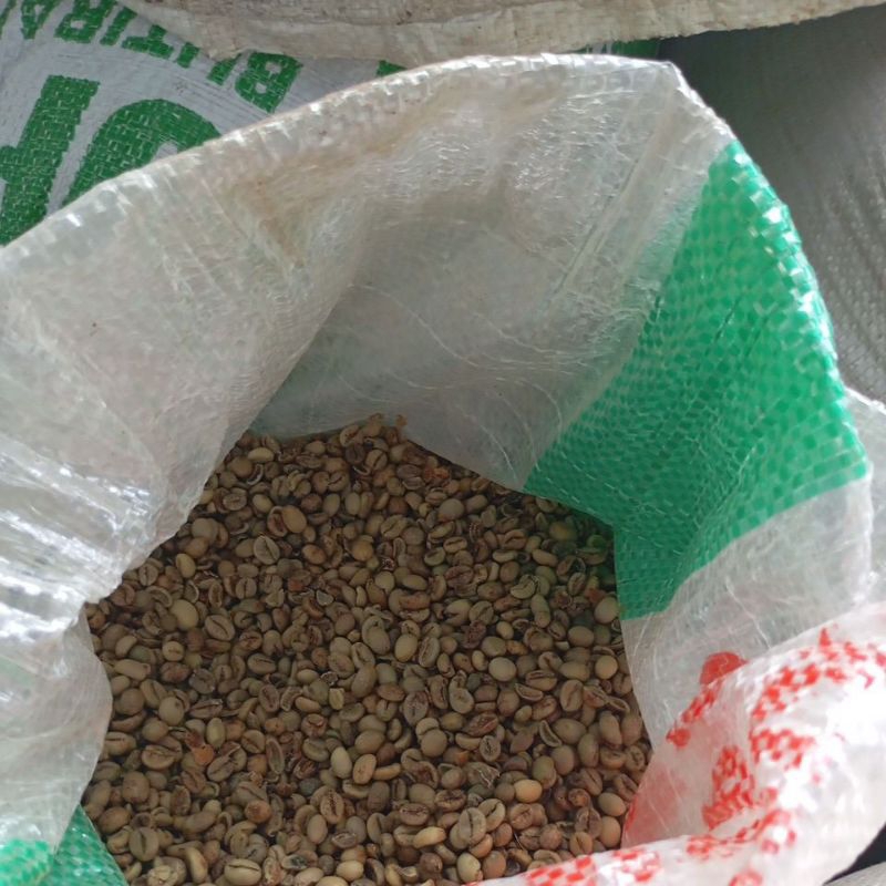 

Biji kopi Jawa mentahan