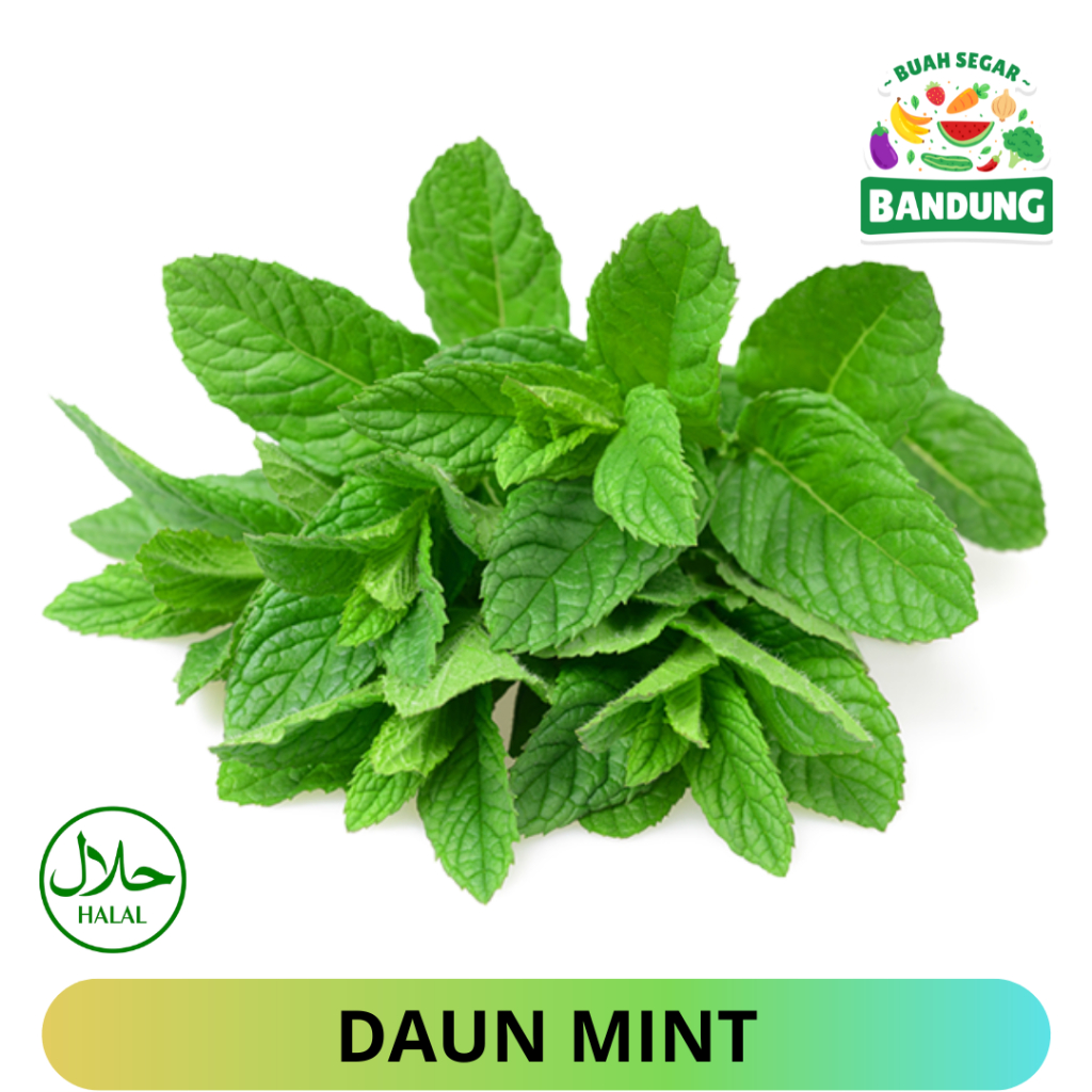 

DAUN MINT FRESH ORGANIK 250Gram