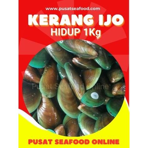 

[GROSIR] Pusat Seafood - Kerang Ijo, kerang hijau, kerang hidup, kerang ijo hidup fresh 1kg