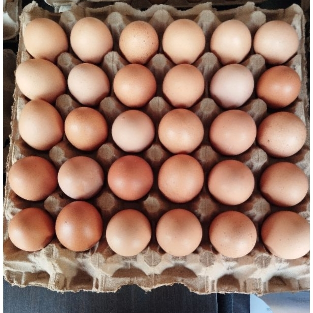 

Telur ayam negeri PREMIUM - 30 BUTIR GRADE A Fresh bersih kualitas Terbaik