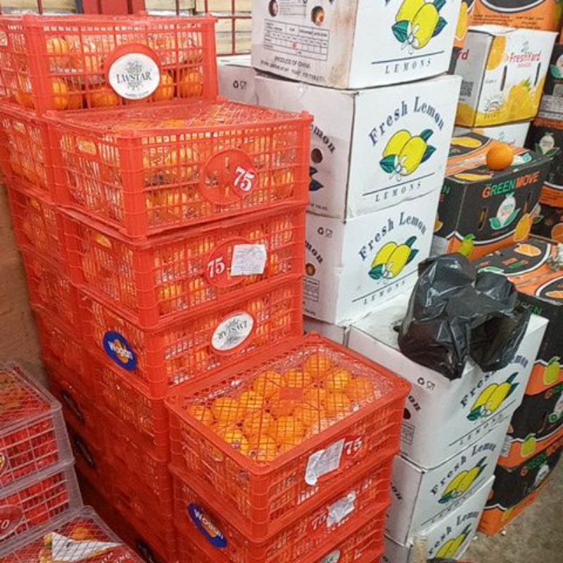 

Jeruk Mandarin Wogan 1 krat