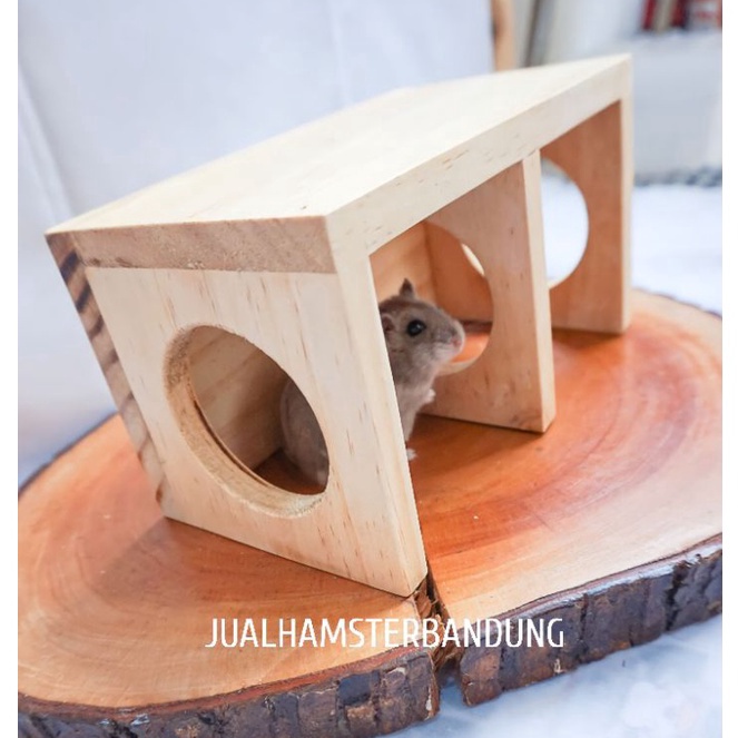 Tunnel Hamster  Terowongan Hamster  Hideout Hamster Pinus