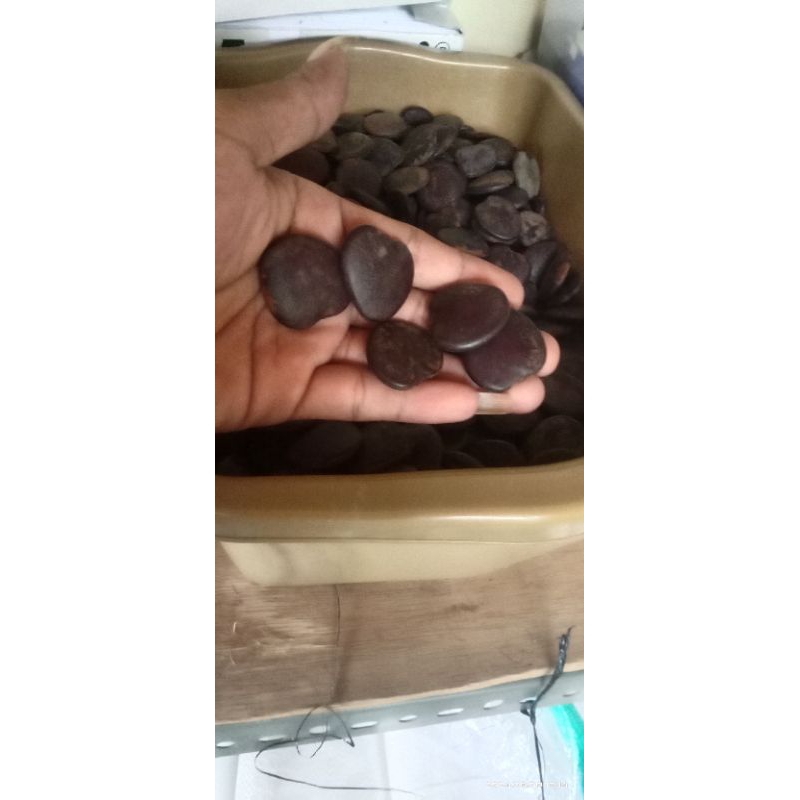 BIJI MERBAU 1 KG / INTSIA BIJUGA / BENIH MERBAU PREMIUM