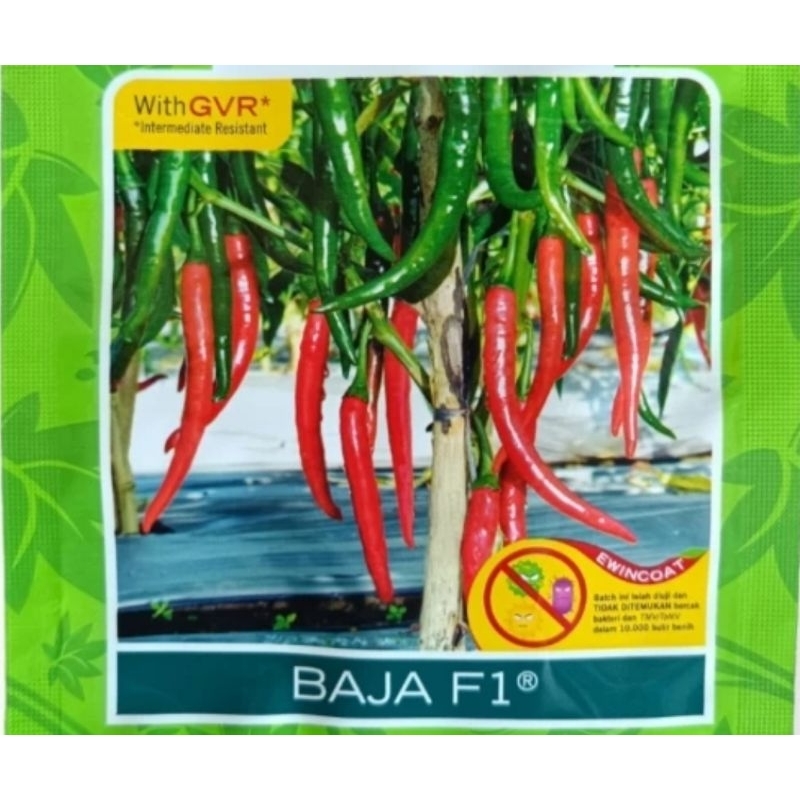 Bibit Cabe Merah Besar Hibrida BAJA F1 isi 125 Butir Produk Benih Cabe Merah F1 Cap Panah Merah
