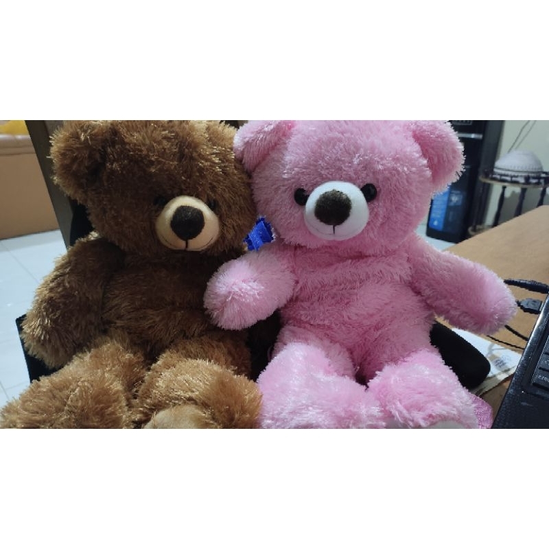 Tas Ransel Boneka Teddy Bear