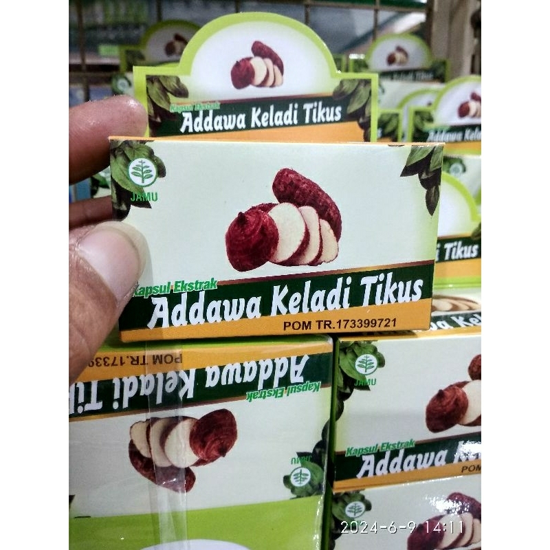Keladi Tikus Kapsul ekstrak Addawa Keladi Tikus KAPSUL HERBAL KANGKER ORI