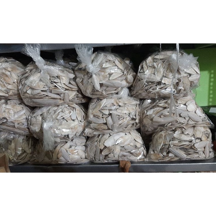 Murah Banget Tulang Sotong 5gr