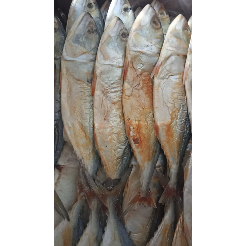 

Ikan Kering Banyar 100gr / Ikan Kering Peda Banyar Ukuran Besar 100gr / BNBB Super