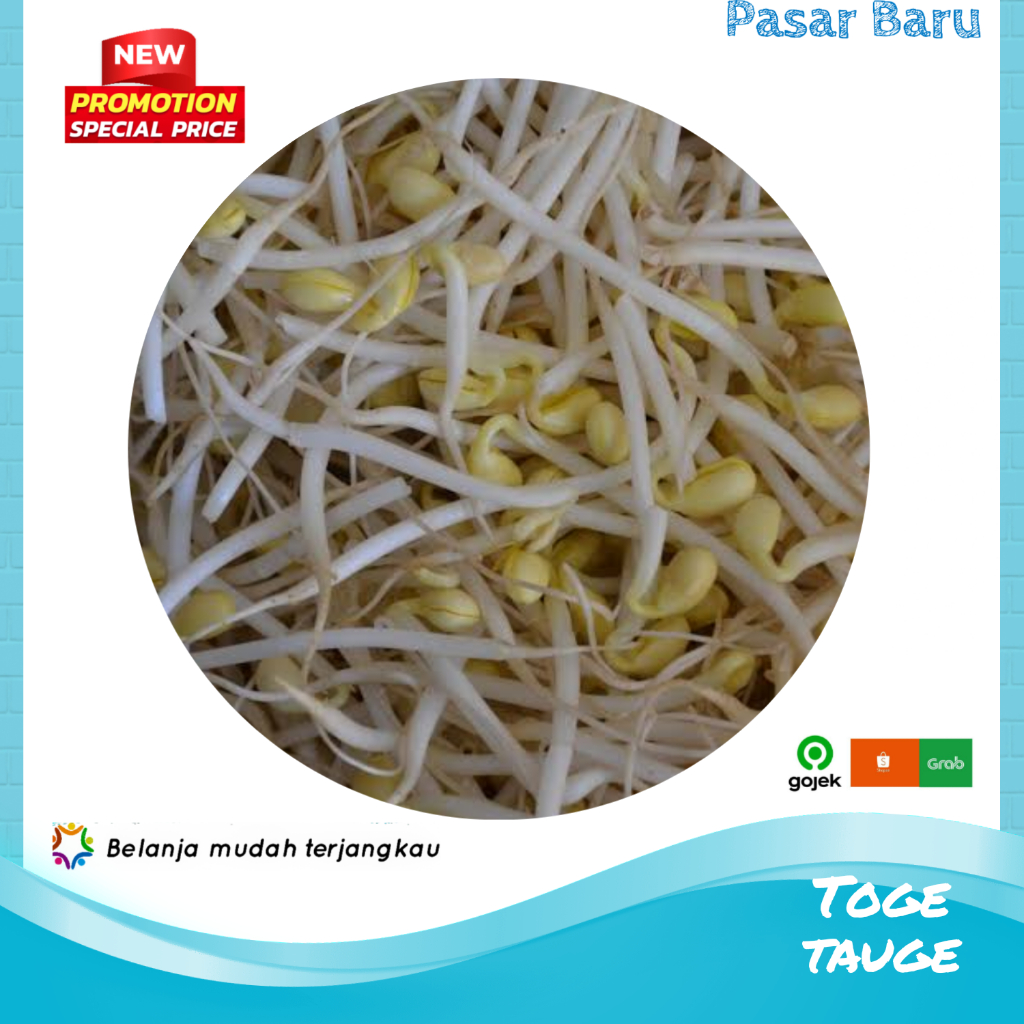 

Tauge / Kecambah / Toge • Murah | Pasar Baru Makassar