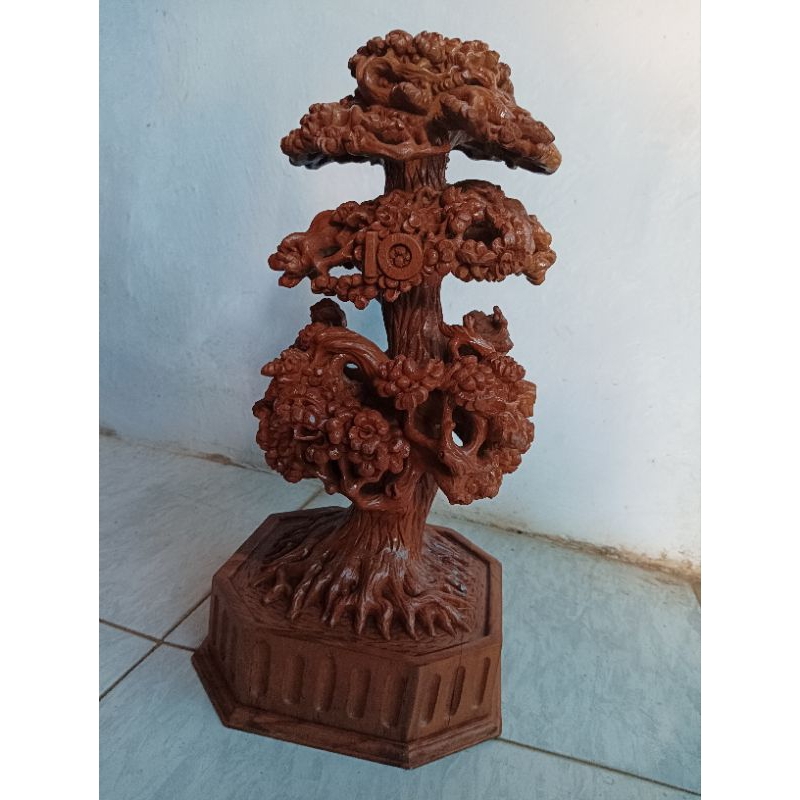 miniatur bonsai kayujati