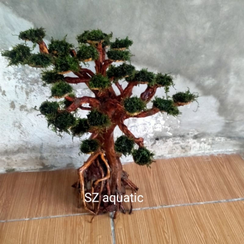 bonsai super jumbo t45.p30.l25. aquascape