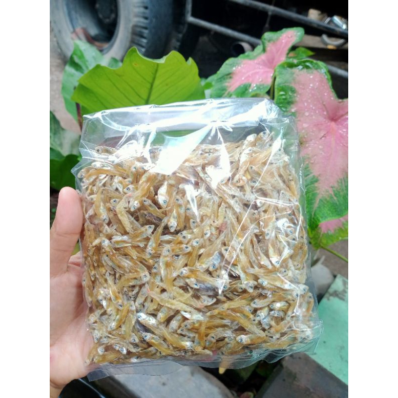 

Ikan Asin Teri Putih 100g