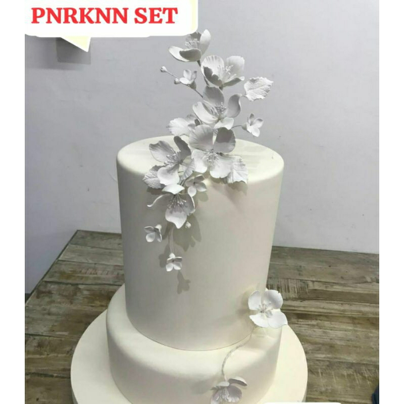 

Gumpaste Edible PNRKNN set