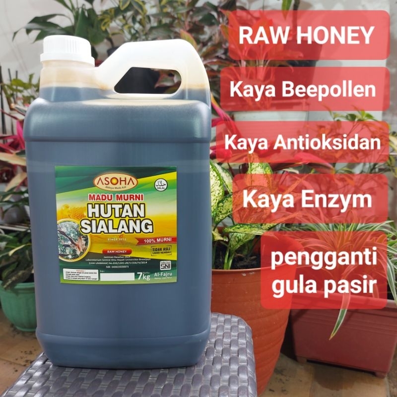 

Madu Hutan Liar SIALANG 7kg | 100% Asli Murni | Madu Hutan Asli