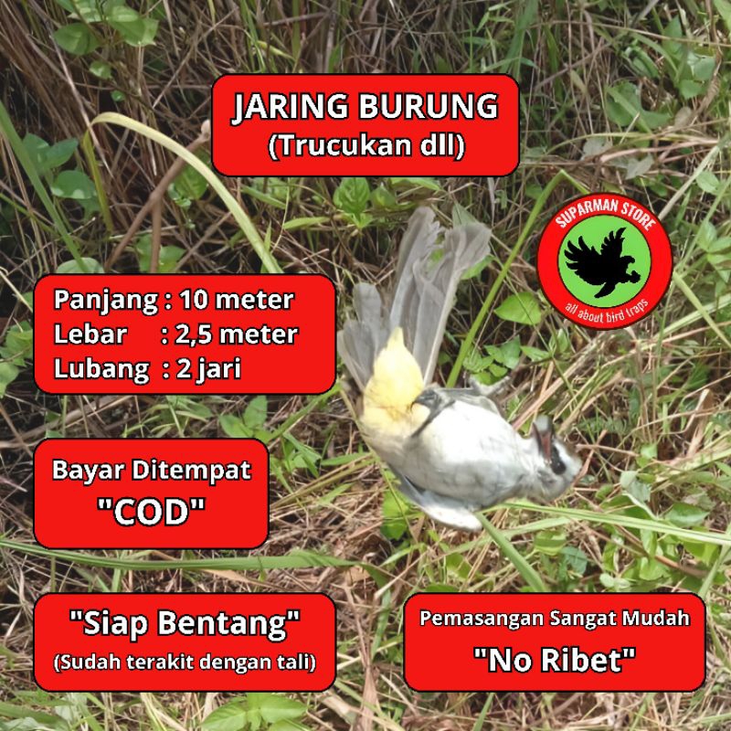 JERAT BURUNG 10 JARINGAN BURUNG SIAP PAKE JARING BURUNG TRUCUKAN JALA PIKAT BURUNG SIAP PAKE ALAT JA