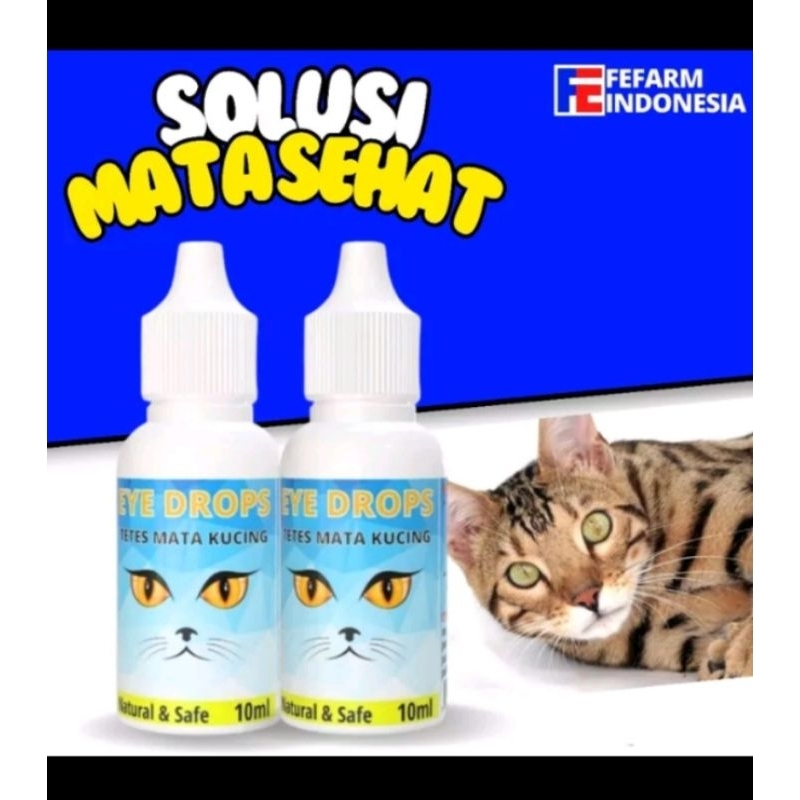 Obat tetes mata kucing sakit mata kucing obat mata berair kucing Eye Drops kucing