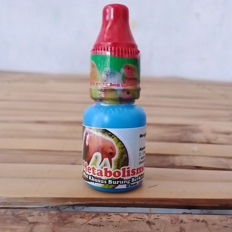 METABOLISME BURUNG KICAU