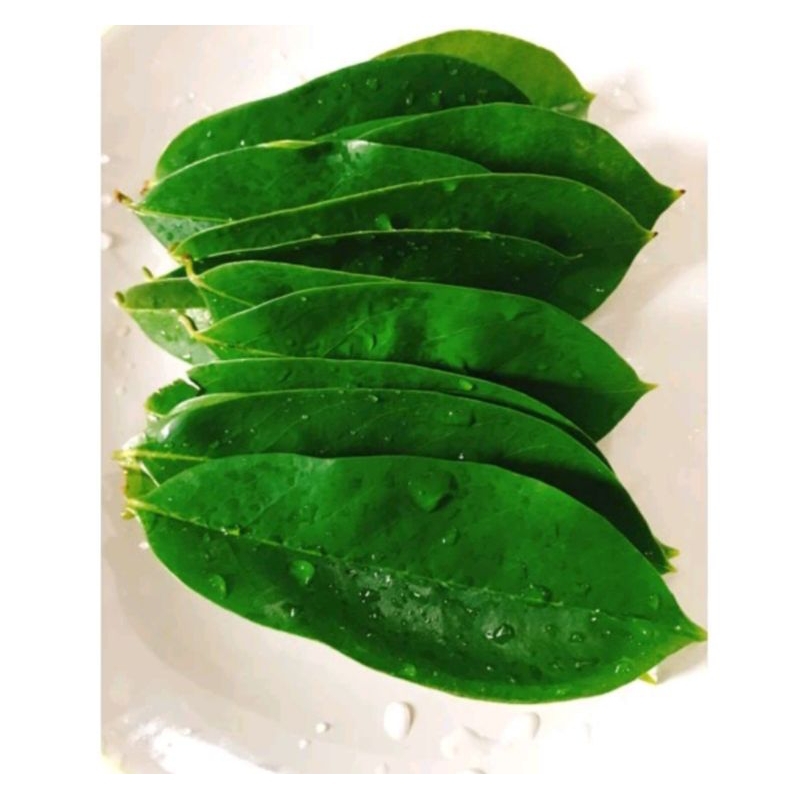 

daun sirsak