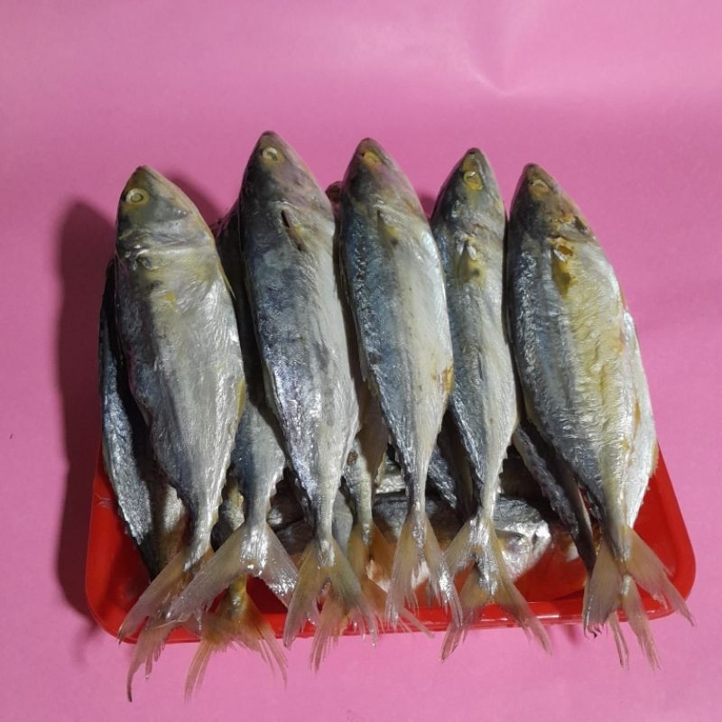 

IKAN PEDA PUTIH