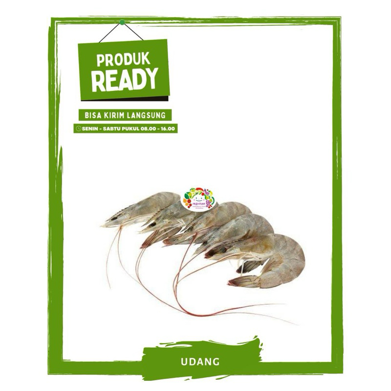 

Udang Vaname / Ikan Segar Ready On Mallahrizwa