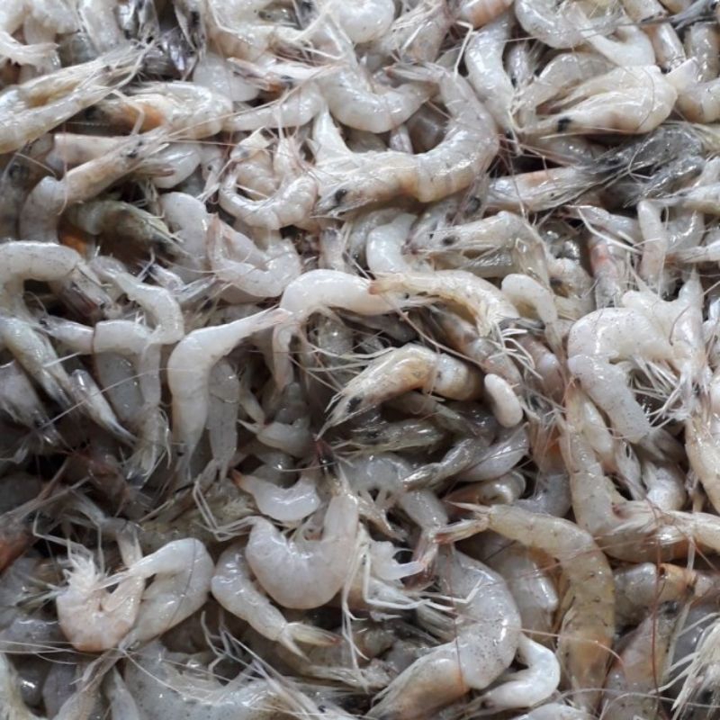 

[KIRIM INSTAN] Udang Kecil 250gram